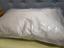 富安娜家纺 羽绒枕头高弹柔软鹅毛枕芯 五星级酒店成人枕头芯 山岚/95%绒子(素色防羽面料) 45cm 70*(一只装) 实拍图