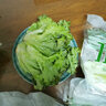 首诚高端蔬菜免洗采摘即食轻食沙拉西餐火锅鲜活首诚植物工厂采摘直发 美罗（10袋） 实拍图