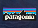 巴塔哥尼亚（Patagonia）通勤短袖夏季P-6 Logo混纺棉情侣休闲潮流户外透气T恤 38504 BLK黑色 L 晒单实拍图