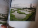 黄河三角洲滨海湿地演变机制与生态修复 晒单实拍图