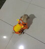 憨憨宠 猫衣服狗狗衣服宠物猫咪衣服两脚搞笑变身装泰迪衣服猫咪用品 小老虎款 XL码 建议10-18斤以内宠物 实拍图
