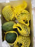 山姆大叔正宗大青芒果【多地次日达】可生吃酸脆芒果新鲜水果礼盒非金煌芒 御品老树果｜500g+【甜爆了】 9斤装【家庭自由畅吃】净8.5斤 实拍图