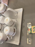 品来运 陶瓷茶具套装骨瓷茶杯客厅轻奢泡茶壶家用水杯简约水具下午茶具 丝绸之路水具9件（带骨瓷茶盘） 实拍图
