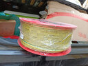 德力西（DELIXI） 电线电缆BV硬线国标硬导体单股单芯多平方可选铜芯家装硬电线 BV4 双色地线 100米 实拍图
