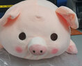 捉趣（ZHUOQU）小猪公仔可爱创意毛绒玩具玩偶陪睡抱枕靠垫娃娃玩偶女生生日礼物 BOBO猪呆萌款 40cm 实拍图