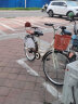 火星翼 自行车通勤单车男女学生青年成年人上下班老式脚踏板单速代步车 JINYFENG-尊享版-咖啡-充气胎 26寸（建议身高160CM-180CM） 实拍图