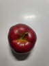 【新鲜采摘】红六福 甘肃花牛苹果新鲜水果苹果 70-75果带箱5斤 实拍图
