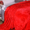 毛毯冬季加厚加绒盖毯铺床单人宿舍学生珊瑚绒午睡毯床法兰绒毯子 大红玫瑰 200*230cm【双人标准】 实拍图