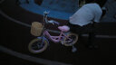 奥仕龙x迪士尼联名自行车儿童3-6岁小孩单车4-8岁公主款儿童自行车 艾莎公主-后座-礼包 14寸 适合90-105cm 晒单实拍图