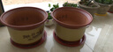 卓盛花卉落地紫砂陶瓷花盆红砂紫砂花盆 客厅花卉绿植粗砂花盆粗陶花盆 口径28cm单个 实拍图