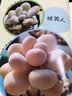 大逆袭！多肉就这么玩(汉竹） 实拍图