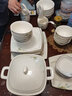 mornenjoy碗碟套装家用 餐具套装10人组合景德镇陶瓷碗盘整套欧式金边 【天元煲】方形春风十里【可微波炉洗碗机】 60头 实拍图