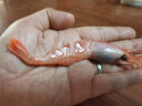 禧美海产丹麦北极甜虾刺身1kg/盒(加大号) 40-60只 大规格 日料生食 海鲜 实拍图