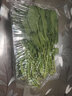 密云农家 本地鲜摘菠菜300g 农家自种 火锅食材绿叶菠菜蔬菜生鲜 菠菜 300g 实拍图