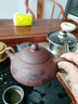 倒把西施 紫砂壶纯手工宜兴紫砂泡茶壶茶具套装 紫泥东坡石瓢 刻绘石瓢 实拍图