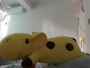 纺宠园可爱趴趴长颈鹿公仔睡觉抱枕毛绒玩具小鹿玩偶布娃娃生日礼物女生 黄色趴趴鹿 60厘米 实拍图