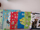 小手握笔系列幼小衔接描红一本通·美术 实拍图
