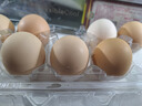 我老家 农家谷物鸡蛋 山林散养初生蛋鲜鸡蛋 10枚装400g 实拍图