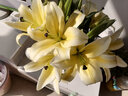 悦多彩AB级优质香水百合 家庭办公室各色生活鲜花 昆明基地 现采直发 百合组合40朵（白色/黄色各20朵） 实拍图