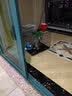 华美龙(配脚垫)兔子笼子家用加密室内养兔专用大号自动清粪宠物兔窝兔笼 黑色50*32*38cm加密款防越狱 实拍图
