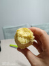 鸡蛋黄板栗红薯正宗广东潮汕现挖现发鲜香甜粉糯白皮黄心番薯地瓜 小果 3斤 实拍图