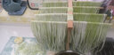 Marcato面条机压面机意大利进口马卡多家用多功能擀面皮小型手摇饺子皮机 蓝色分体式 实拍图