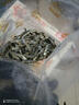 赶海弟【潍坊产地】海燕鱼400g 小鱼干小银鱼仔海产干货 源头直发包邮 实拍图