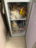 香雪海 立式冰柜家用小冰柜单温小冷柜冷冻迷你商用 小型节能省电储母乳冷柜冰箱 【一级能效 玫瑰金】立式冷冻柜 65L 实拍图