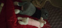 【买大送小】 哈士奇公仔大号毛绒玩具狗熊二哈布娃娃玩偶抱枕长条枕女生睡觉抱女孩圣诞情人节礼物送女友 爱的就是你（彩色款） 胖版全长1.8米（加20厘米小兔子） 实拍图