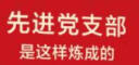 先进党支部是这样炼成的（2021新版）党支部建设工作实用手册   实拍图