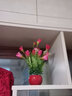 花艺赫家饰仿真花郁金香塑料花小盆栽室内家居餐桌摆件客厅办公桌装饰假花 梅红玉兰苞+红色花瓶套装 实拍图