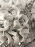 山泽（SAMZHE）固线钉线卡墙钉 10mm 网线钉子电话线圆形钢钉网线布线家装扣钉 500只装 ZD-30 实拍图
