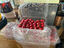 涑淇源鲜山楂果大金星鲜山楂 甜口水果甜山楂 山楂鲜果 甜口甜红子小山楂3斤装 实拍图