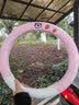 丽卡尼汽车方向盘套冬季毛绒女可爱网红防滑保暖卡通短毛绒时尚冬天把套 圆型-草莓熊粉色 丰田凯美瑞雷凌卡罗拉汉兰达荣放 实拍图