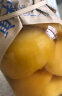 应季物语【买1发2】黄桃罐头712g装 水果罐头新鲜 烘焙糖水 休闲零食 实拍图