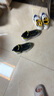 Skechers斯凯奇儿童绒绒靴（机甲系列）男女童透气运动鞋405202L 实拍图