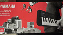 雅马哈（YAMAHA）儿童电子琴PSS-E30/F30/A50宝宝启蒙音乐玩具婴幼儿早教钢琴 PSS-A50官方标配 实拍图