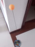 维尼小象 儿童乒乓球玩具训练器室内练习器弹力软轴乒乓球拍训练神器男孩 实拍图