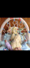 贝恩施婴儿健身架脚踏钢琴0-1岁新生儿玩具礼盒满月礼物g104护栏款六一儿童节礼物 晒单实拍图
