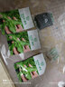 寿禾 冰菜冰草种子冰晶农家四季播蔬菜种孑阳台秋冬季盆栽菜籽种籽 冰草种子1万粒装+肥料+种植资料 实拍图