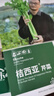 寿禾 大芹菜种子苗西芹实芹秋季蔬菜籽 桔西亚大芹菜种子10g约1.2万粒 实拍图