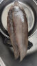 麦易优 国产深海大龙利鱼400g-450g/袋1条 大舌头鱼塔米鱼冷冻海鲜海鱼 实拍图