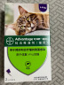 拜宠清宠物驱虫药猫咪体内外驱虫套装驱虫跳蚤猫整盒2粒+旺滴静体外滴剂4-8kg成猫0.8ml*2支 实拍图