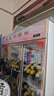 煦雪 鲜花保鲜柜花店冷藏风冷无霜立式花艺花柜鲜花店商用节能高端展示柜冰箱冰柜 三门玫瑰金鲜花保鲜柜 实拍图