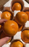 南步湖南洞口雪峰蜜桔 邵阳特产无核雪峰山宫川蜜橘子新鲜水果送礼 精选5斤 二级果【约23-32枚】 实拍图