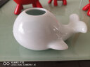 京卫家居水培陶瓷摆件 创意鲸鱼大象青瓷小花瓶 茶道花插时尚个性花器 鲸鱼-粉青 实拍图
