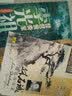 中国民族音乐大师：琵琶演奏家林石诚（CD） 实拍图