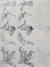 中国画白描描摹本 升级版 工笔画入门描红本 勾线笔毛笔画 人物 山水 花卉 动物 成人自学零基础 国画临摹画帖 白描画本 线描底稿本 中国画白描人物+花卉+画具三件套 实拍图