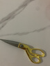 京臣不锈钢剪刀裁缝剪小号布料服装缝纫裁布大剪刀 8寸金色 实拍图
