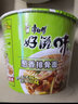 康师傅方便面好滋味泡面桶装整箱杯面桶面经典红烧牛肉香辣袋装速食批发 葱香排骨面整箱12桶【1212g】 实拍图